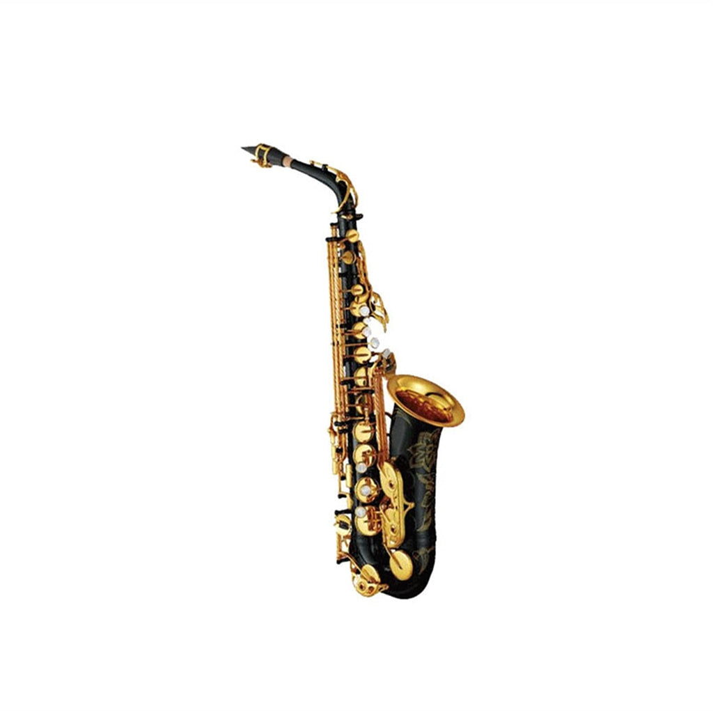 Alto Saxophone Set with Mouth Piece Reed Y569