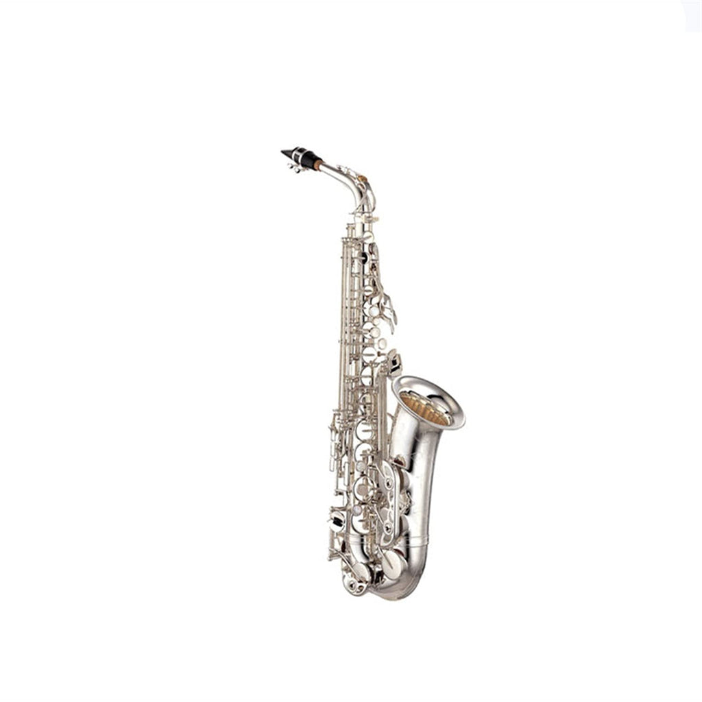 Alto Saxophone Set with Mouth Piece Reed Y569
