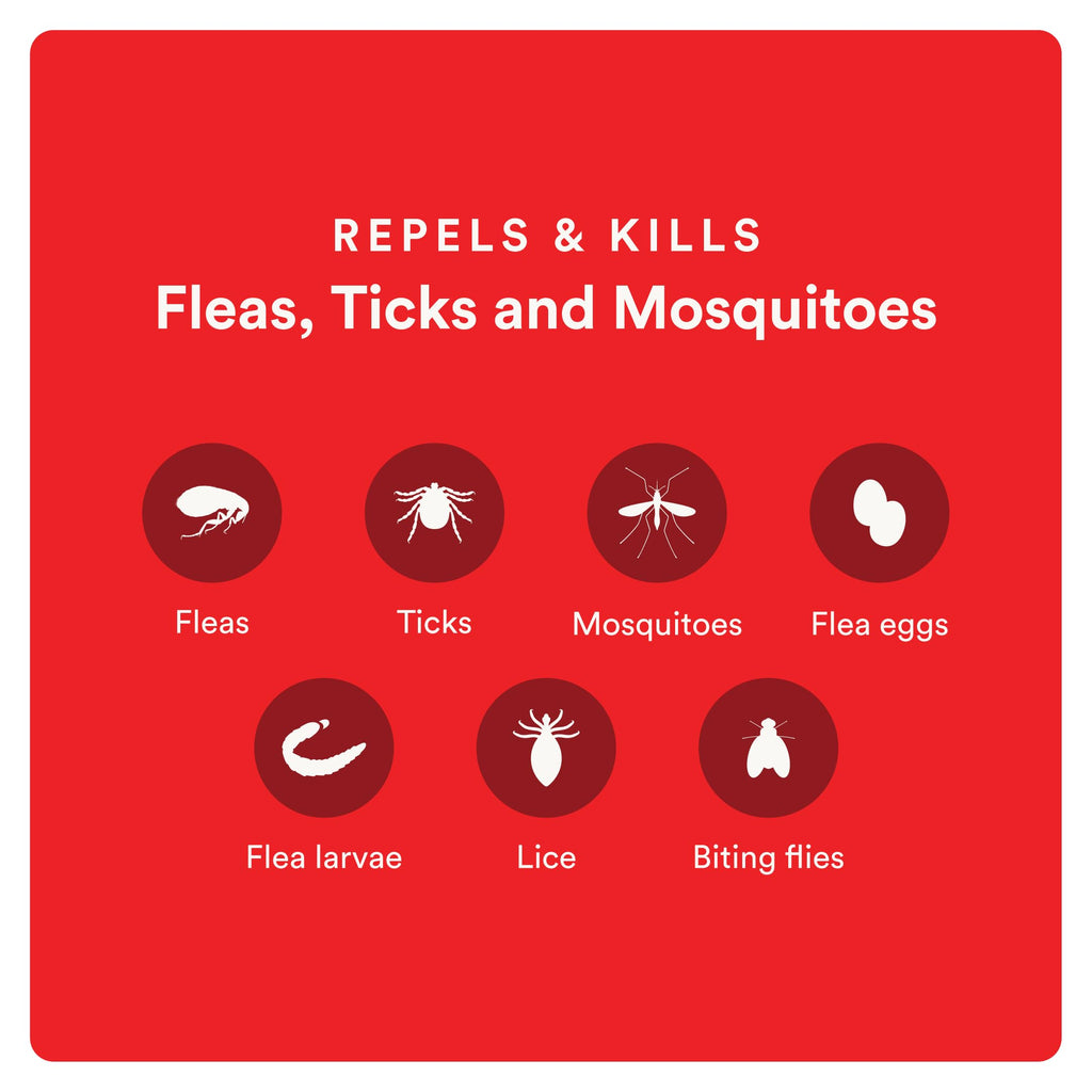 Flea and Tick Prevention for Small Dogs 6 Doses D207