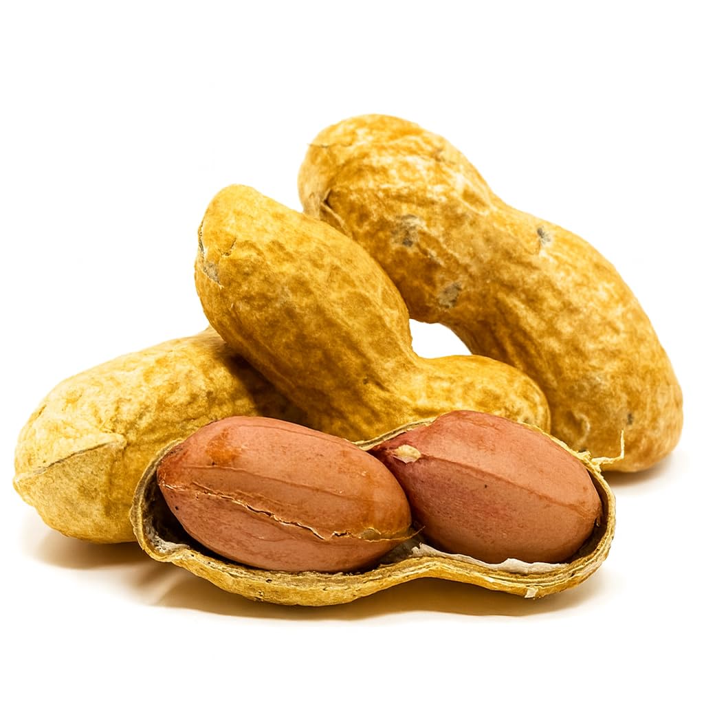 Raw Unsalted Peanuts in Shell 2.5lb K81921