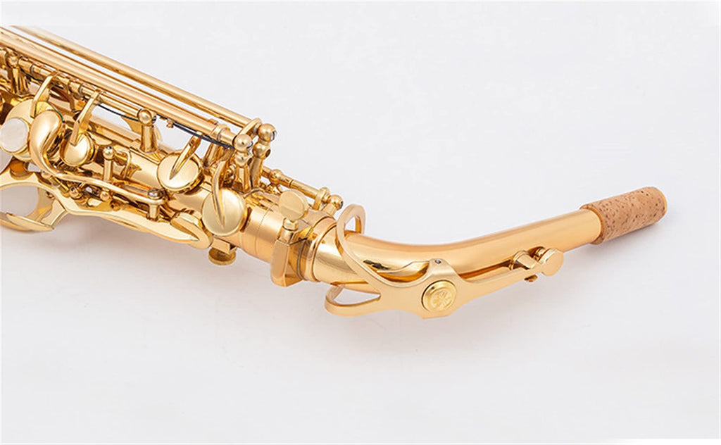 Alto Saxophone Set with Mouth Piece Reed Y569