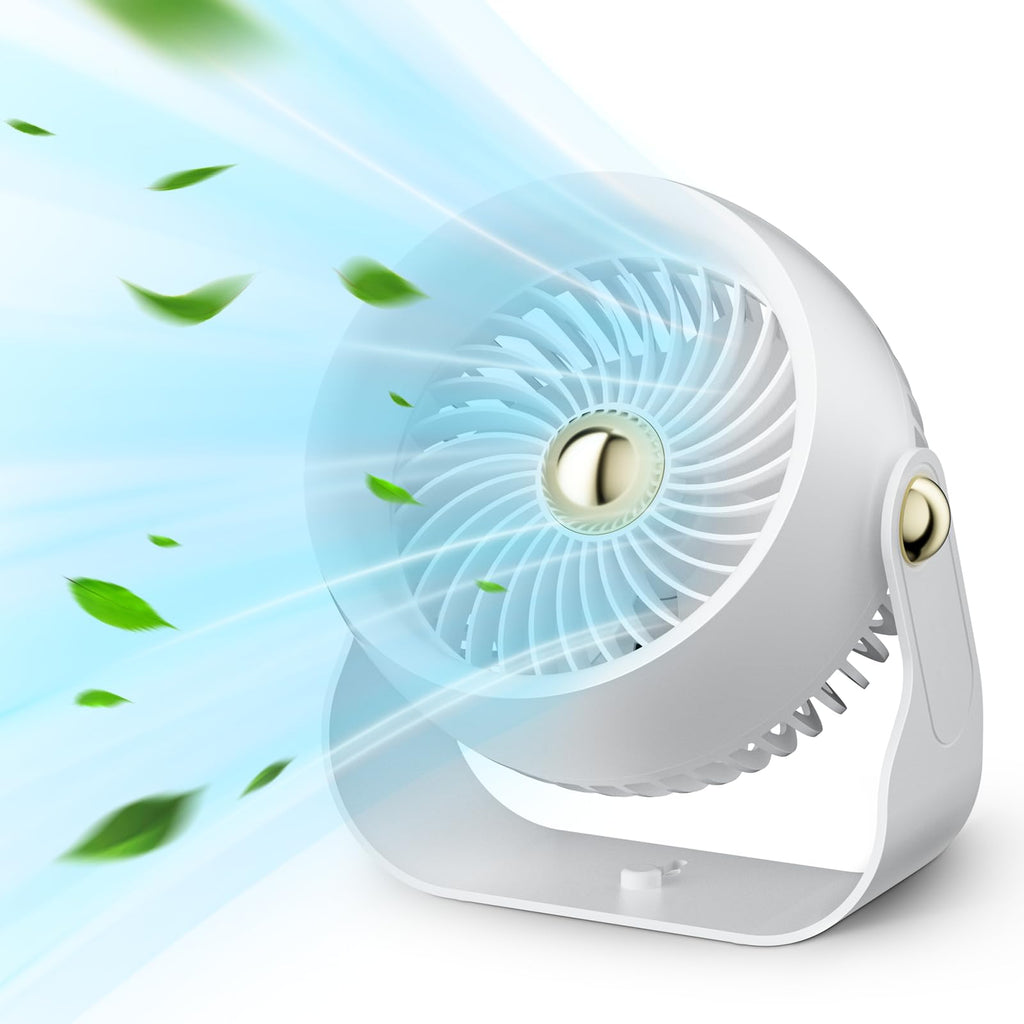 Portable Rechargeable 8 Inch Desk Fan O2991
