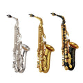 Alto Saxophone Set with Mouth Piece Reed Y569