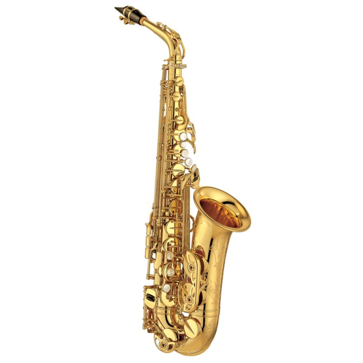 Alto Saxophone Set with Mouth Piece Reed Y569