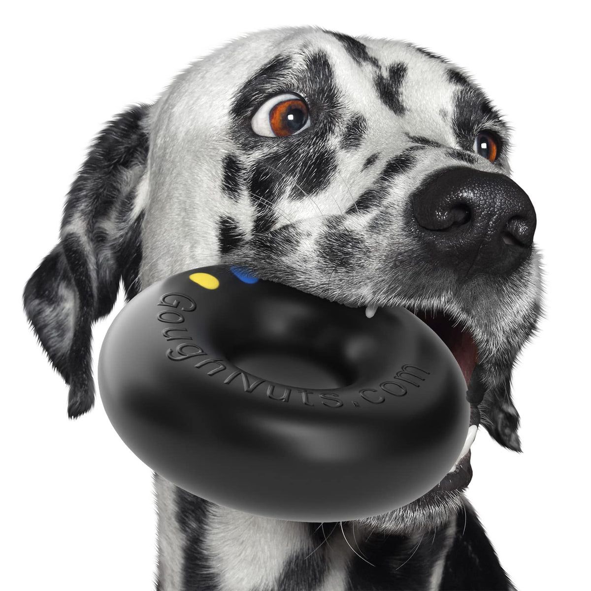 Black Dog Toys for Aggressive Chewers T486234