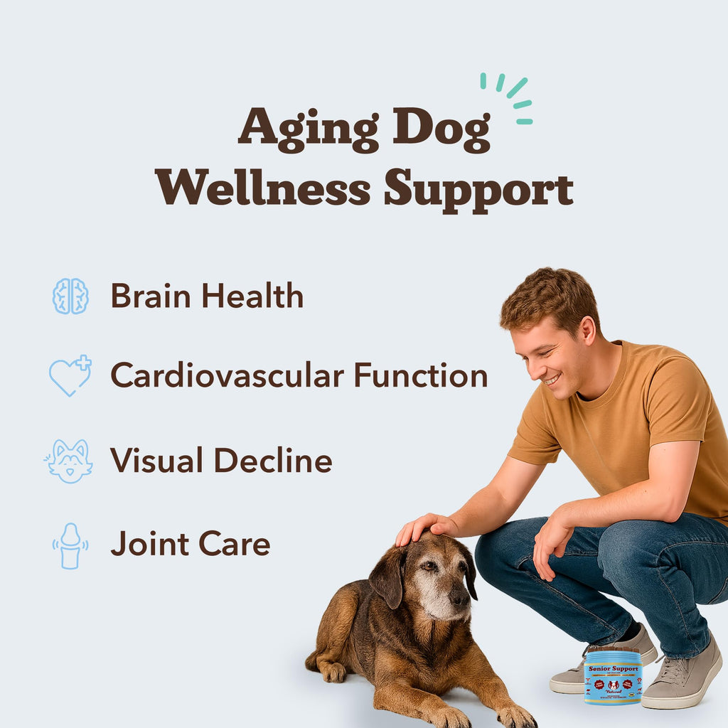 Senior Dog Supplements Vitamins Chew 90 cnt N8333