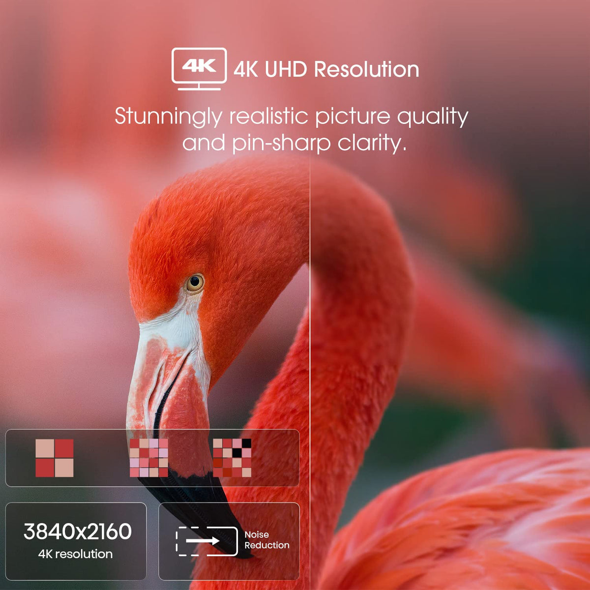 55-Inch 4K UHD Smart Google TV F14683
