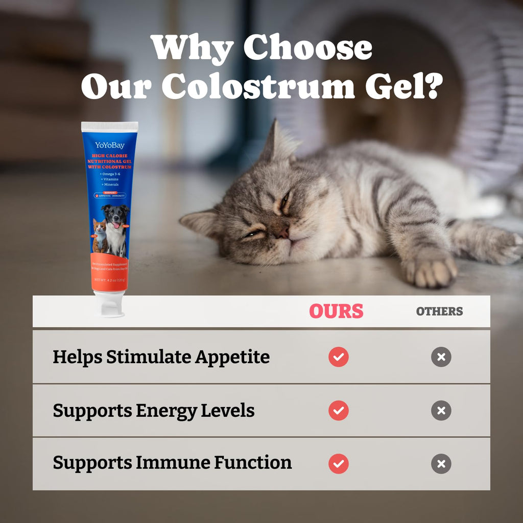 Bovine Colostrum Gel for Dogs & Cats M26759