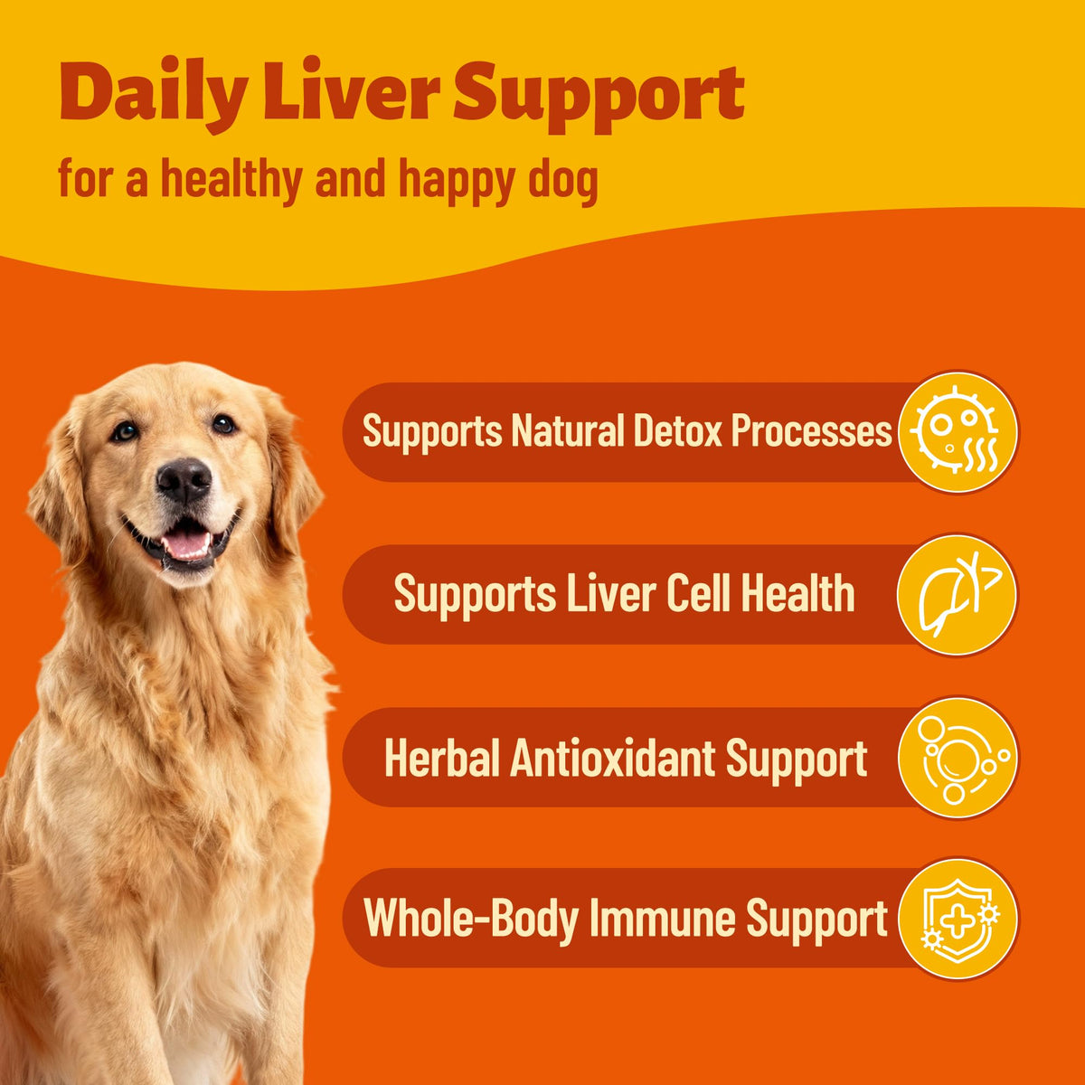 Milk Thistle Supplement 330 Chews J979