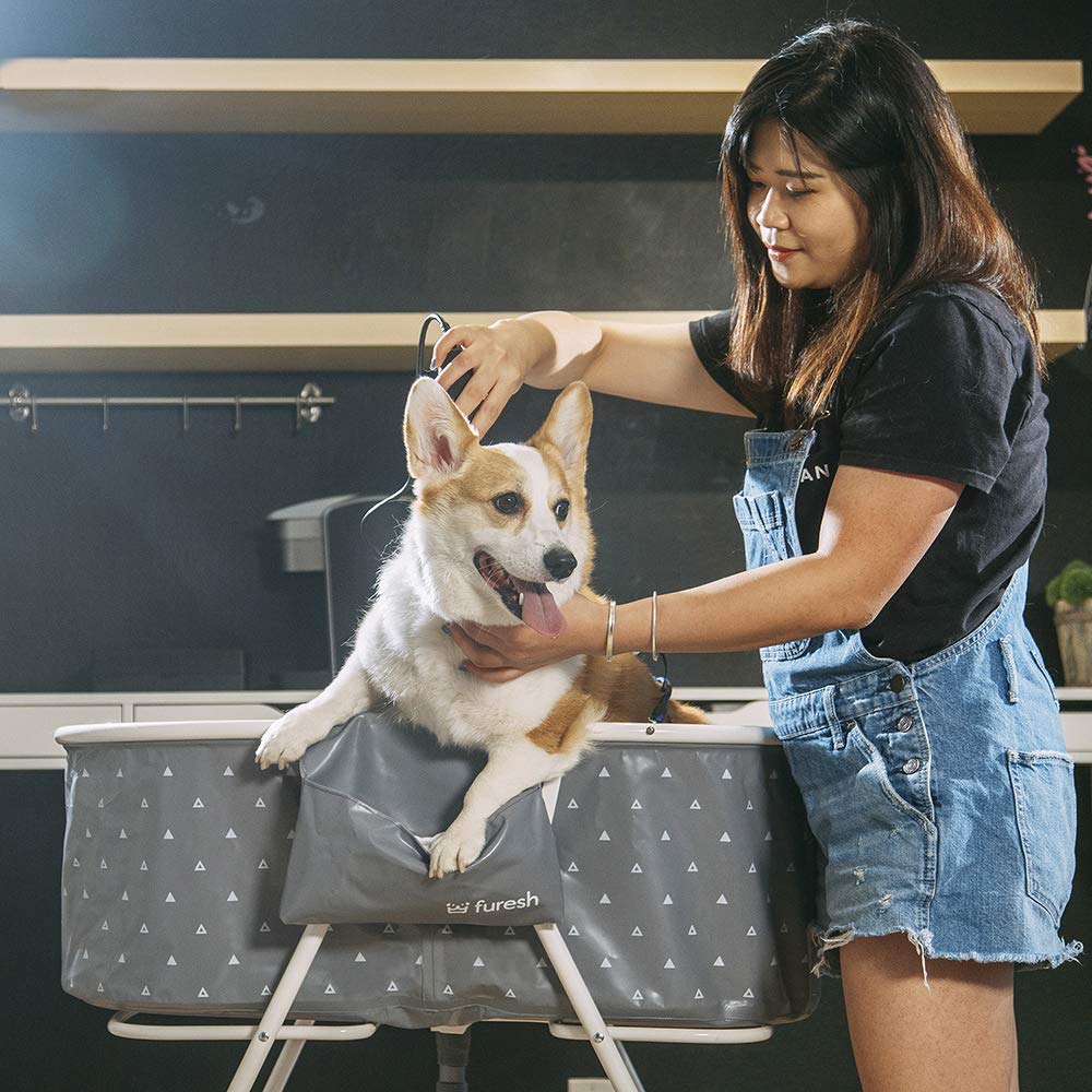 Portable Foldable Dog Bathtub B7847