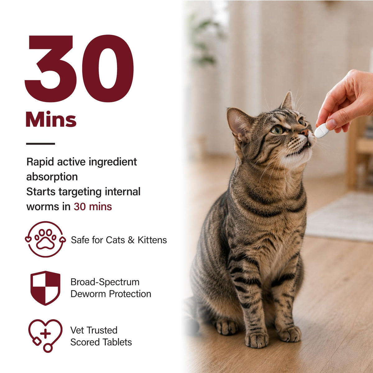 Cat Dewormer, Beef Flavor, 30 Tablets C40463