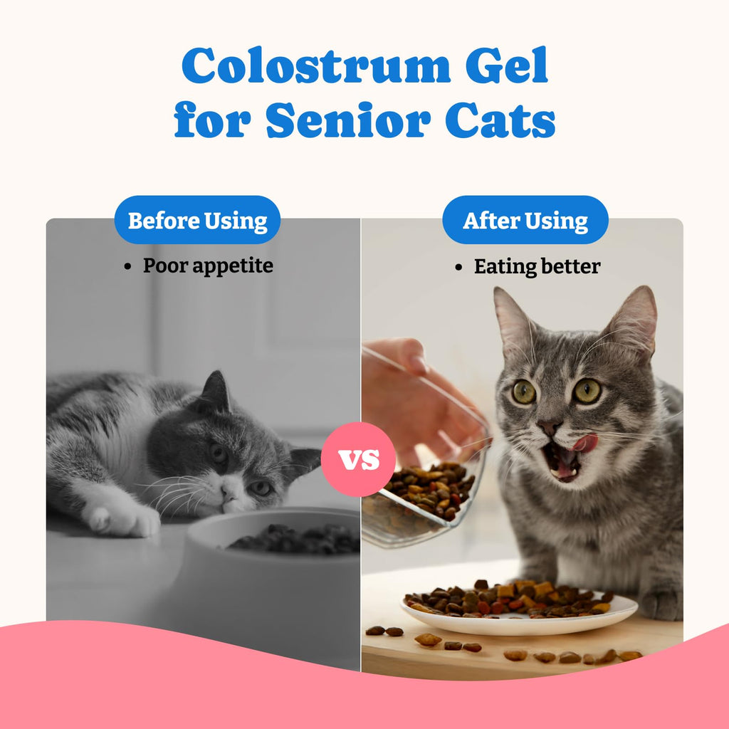 Bovine Colostrum Gel for Dogs & Cats M26759