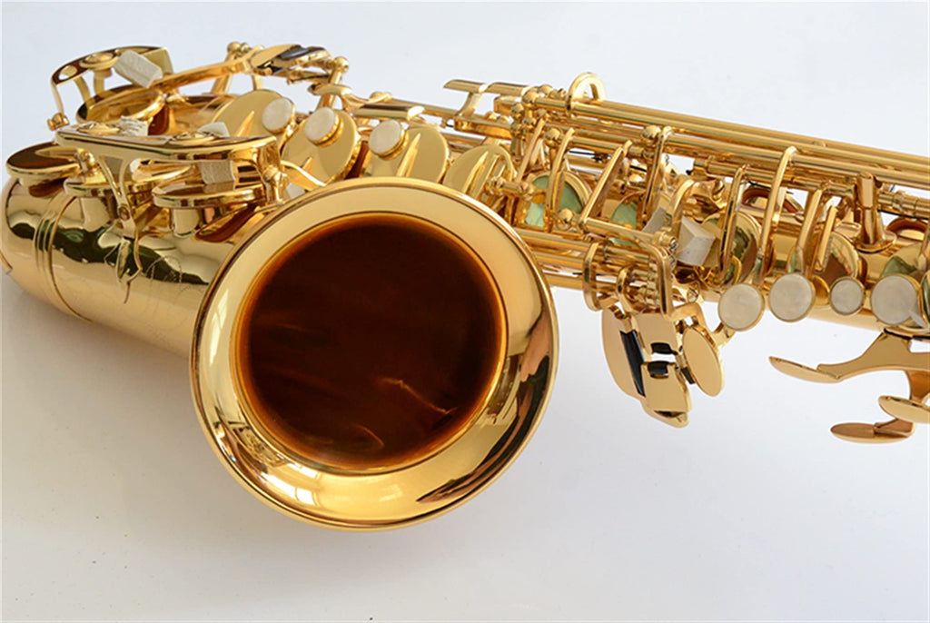 Alto Saxophone Set with Mouth Piece Reed Y569