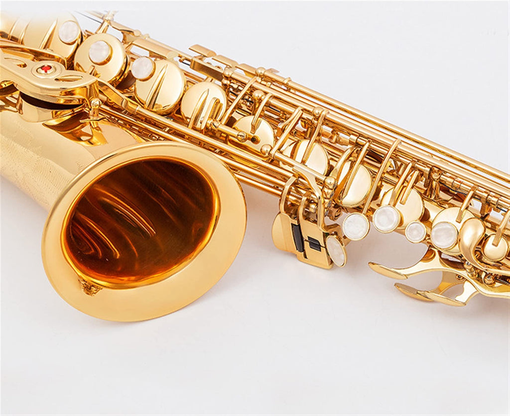 Alto Saxophone Set with Mouth Piece Reed Y569