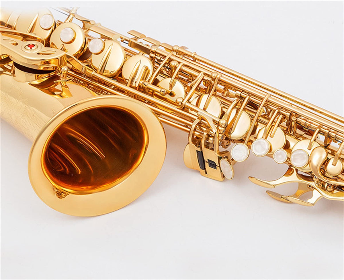 Alto Saxophone Set with Mouth Piece Reed Y569