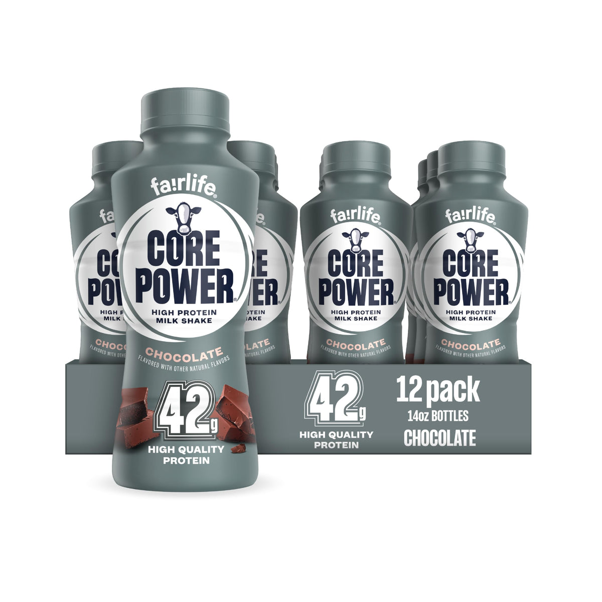 Chocolate High Protein Shake 42g 14oz 12 Pack D49019
