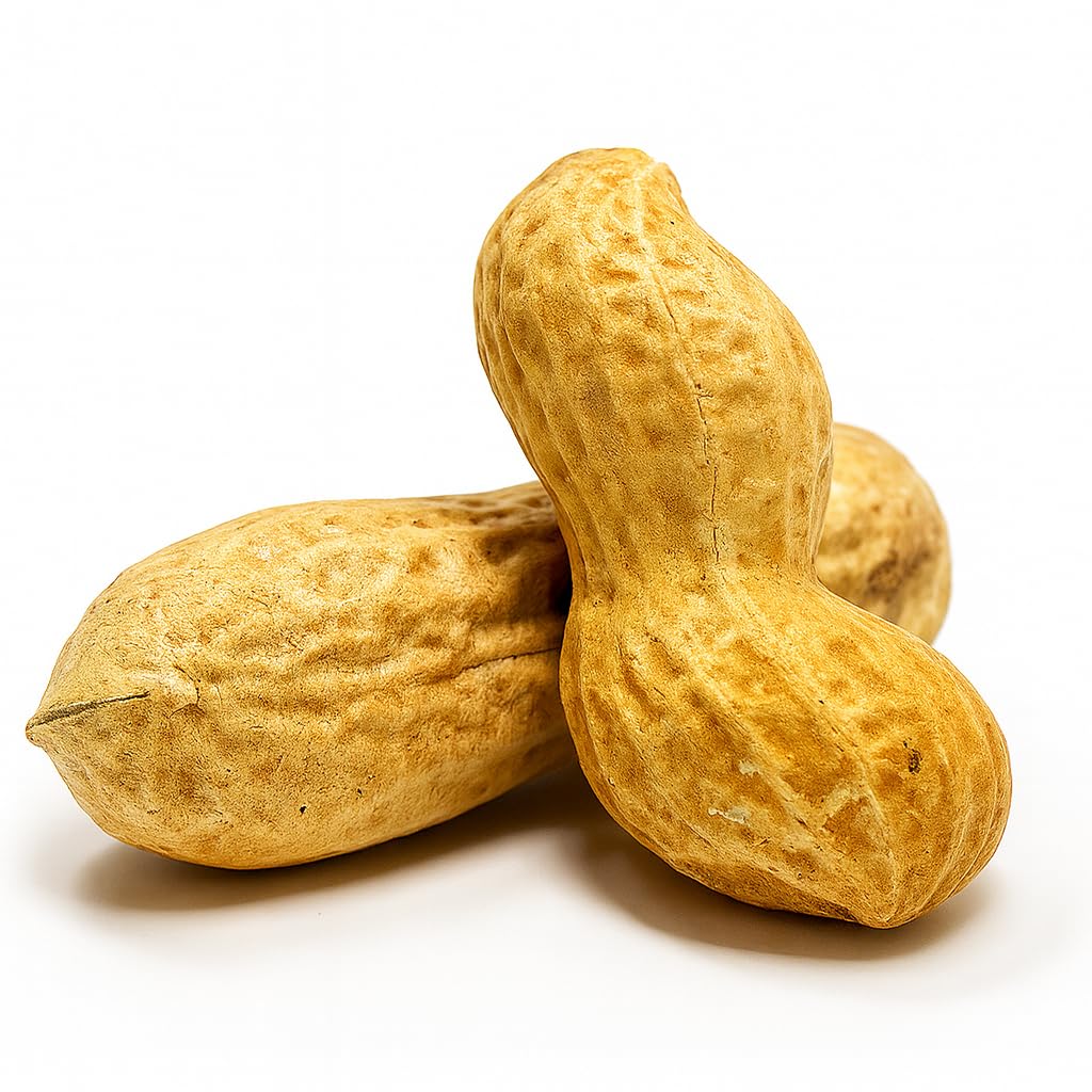 Raw Unsalted Peanuts in Shell 2.5lb K81921