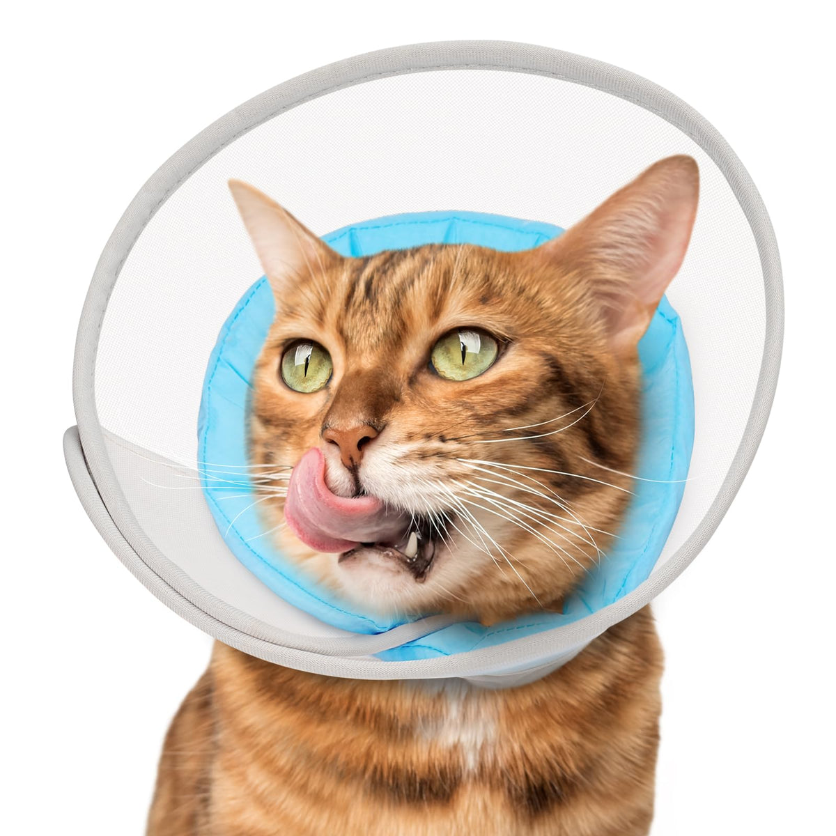 Soft Waterproof Mesh Cat Recovery Cone Collar K71953