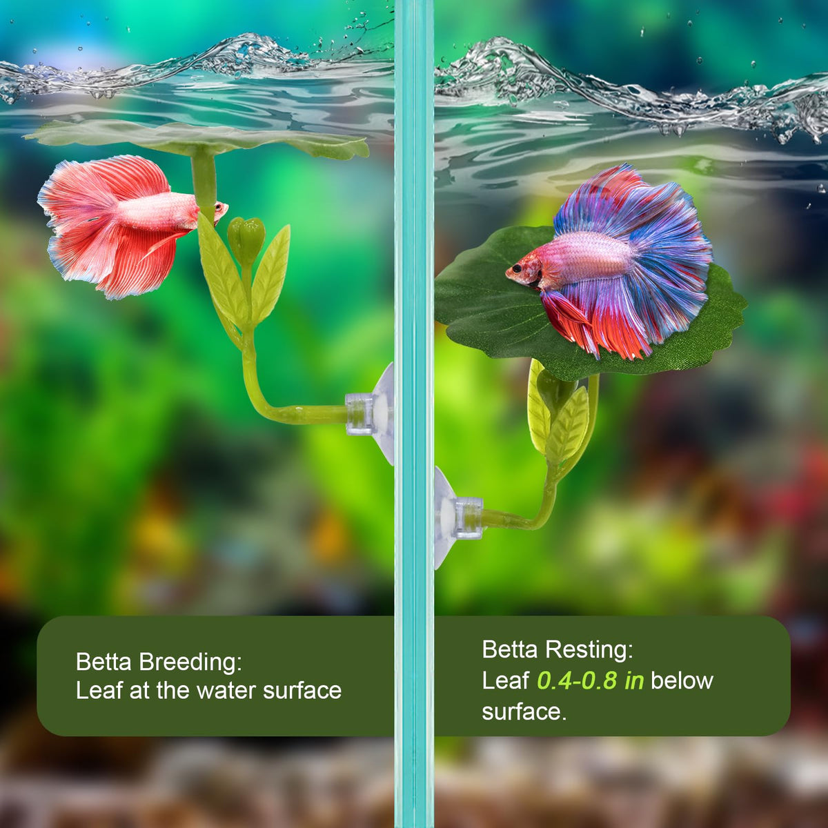 Betta Hammock & Fish Toys Set, Aquarium Decor Plastic Plants L345655
