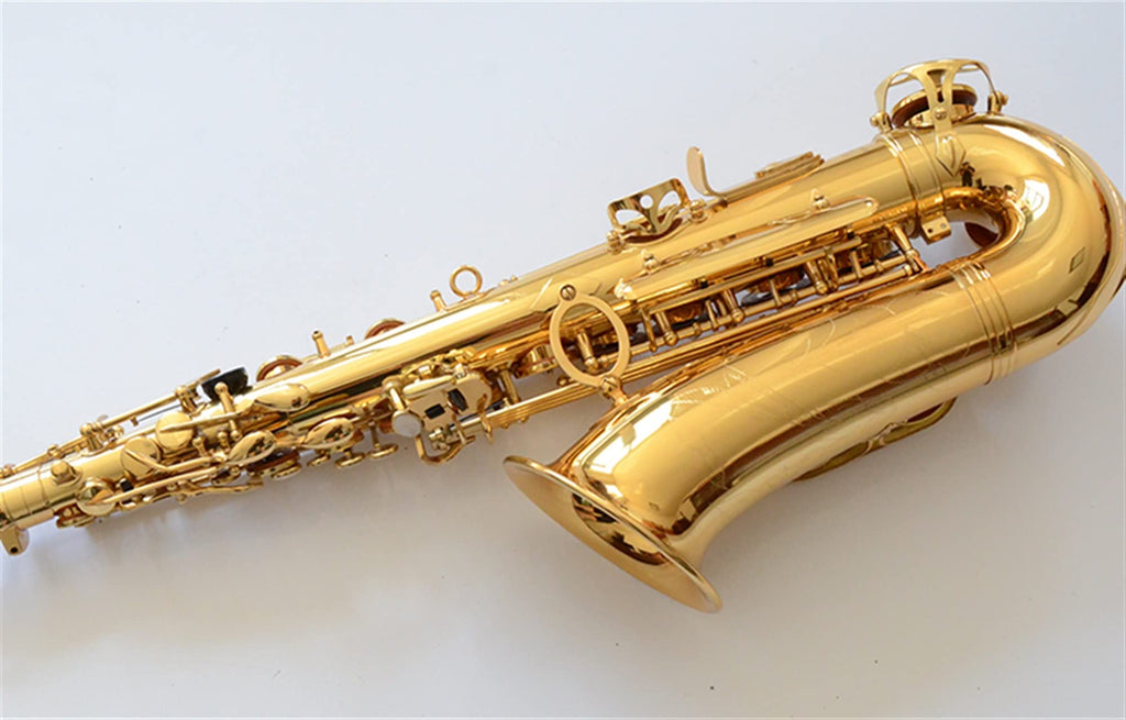 Alto Saxophone Set with Mouth Piece Reed Y569
