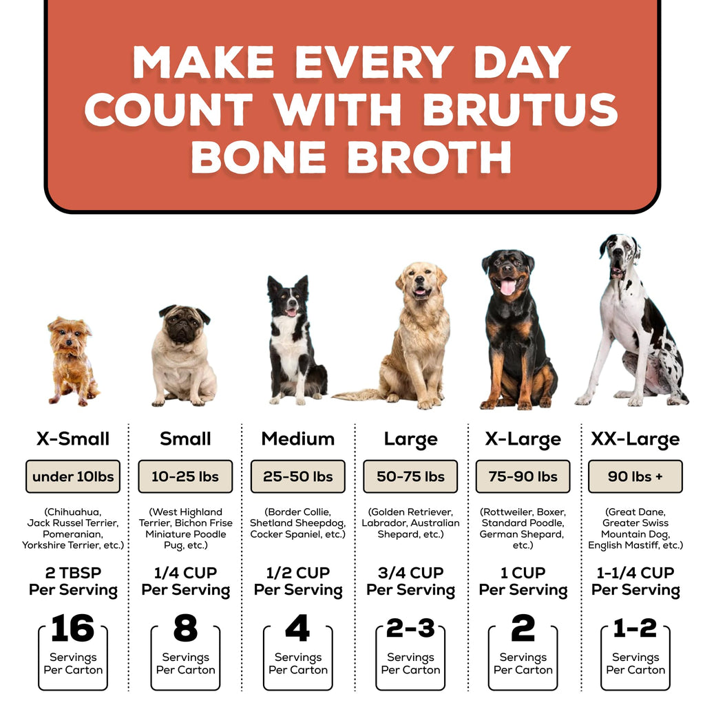Bone Broth for Dogs with Chondroitin Glucosamine Turmeric 16.9oz Pack of 6 V676108