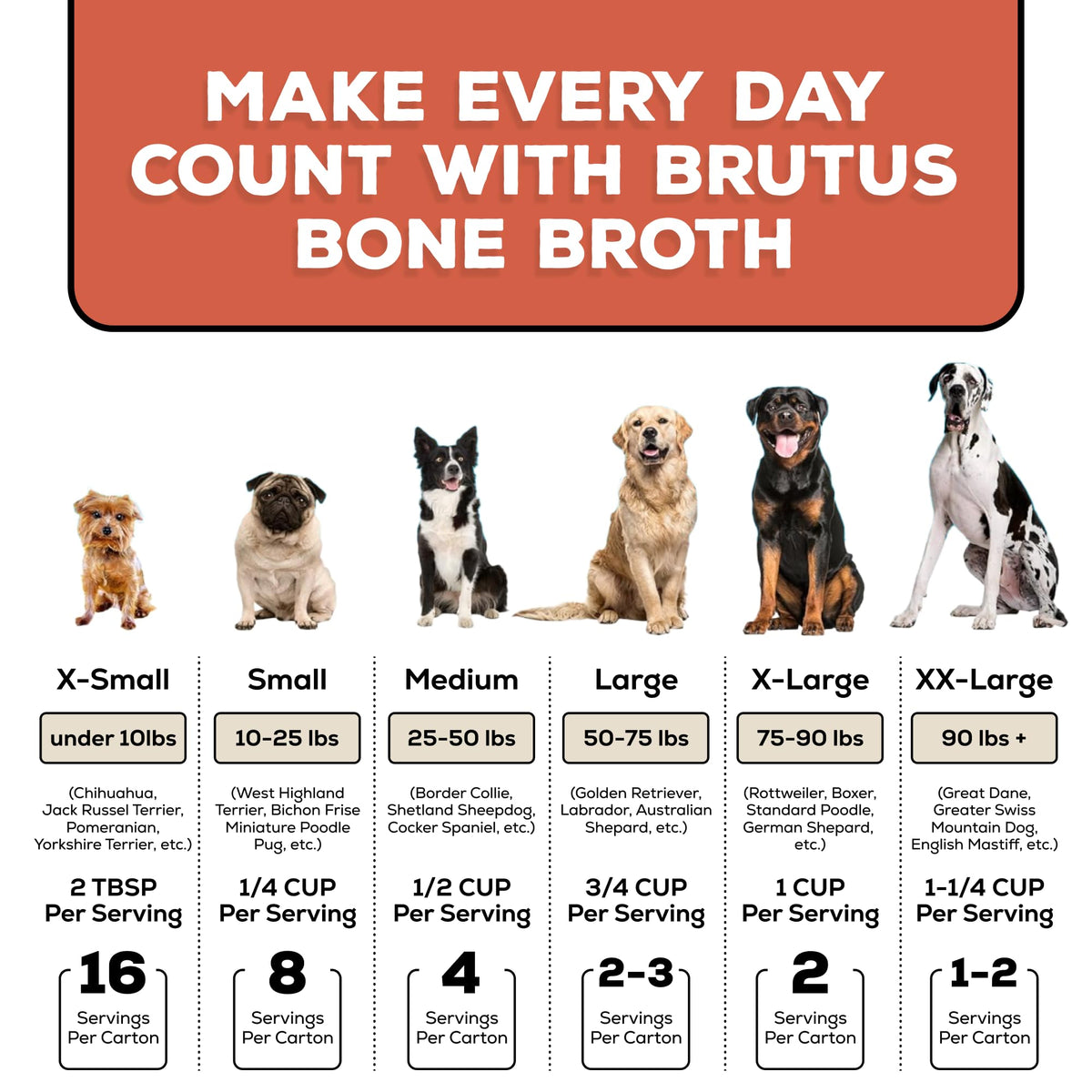 Bone Broth for Dogs with Chondroitin Glucosamine Turmeric 16.9oz Pack of 6 V676108