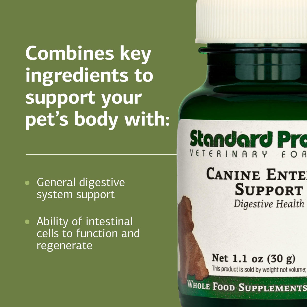 Canine Enteric Support 30 g P869002