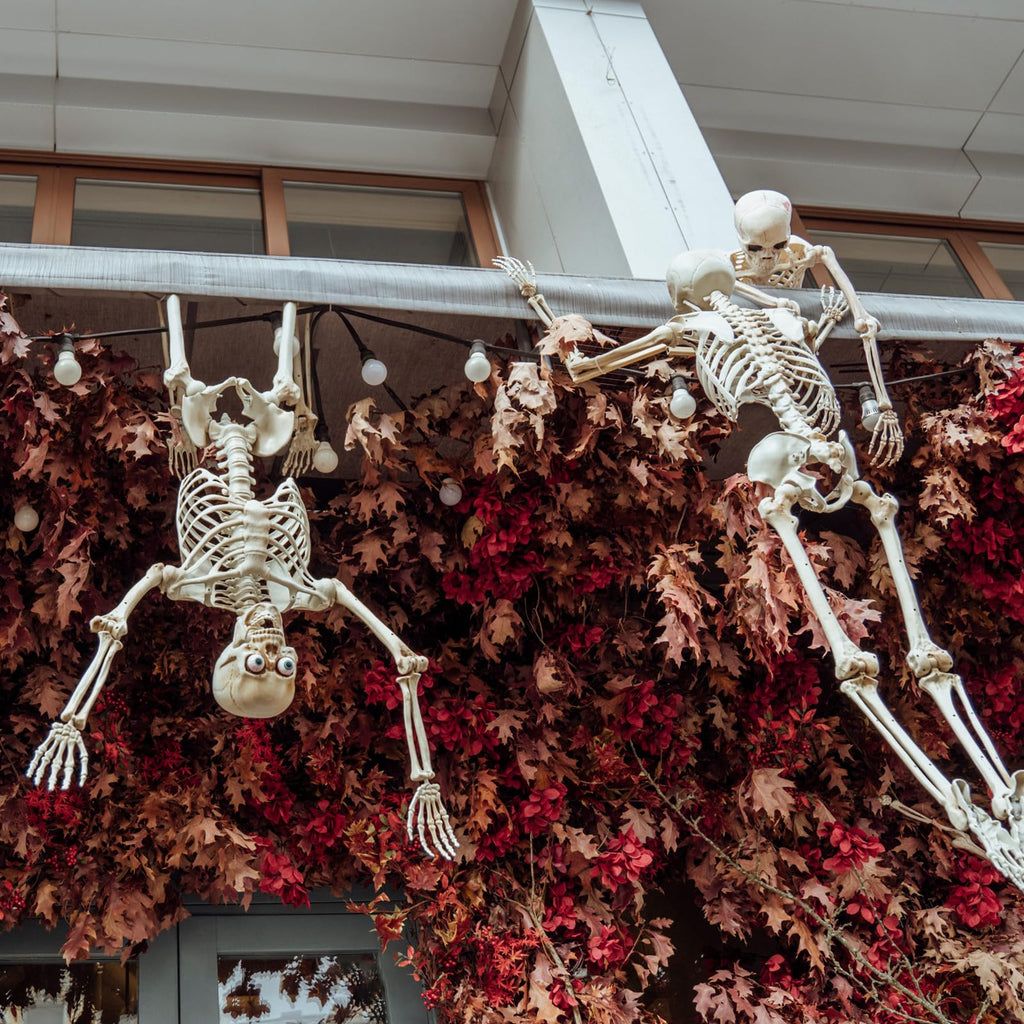 6 Pack Halloween Skeletons 3 5.4ft 3 3ft Q726