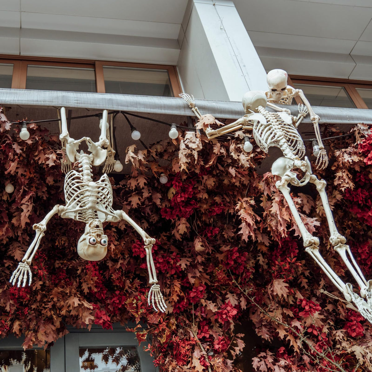 6 Pack Halloween Skeletons 3 5.4ft 3 3ft Q726