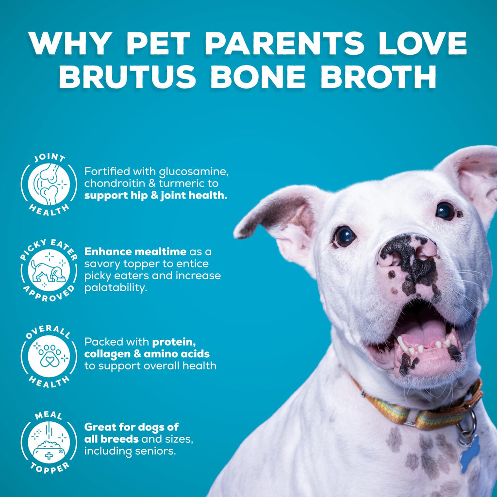 Bone Broth for Dogs with Chondroitin Glucosamine Turmeric 16.9oz Pack of 6 V676108