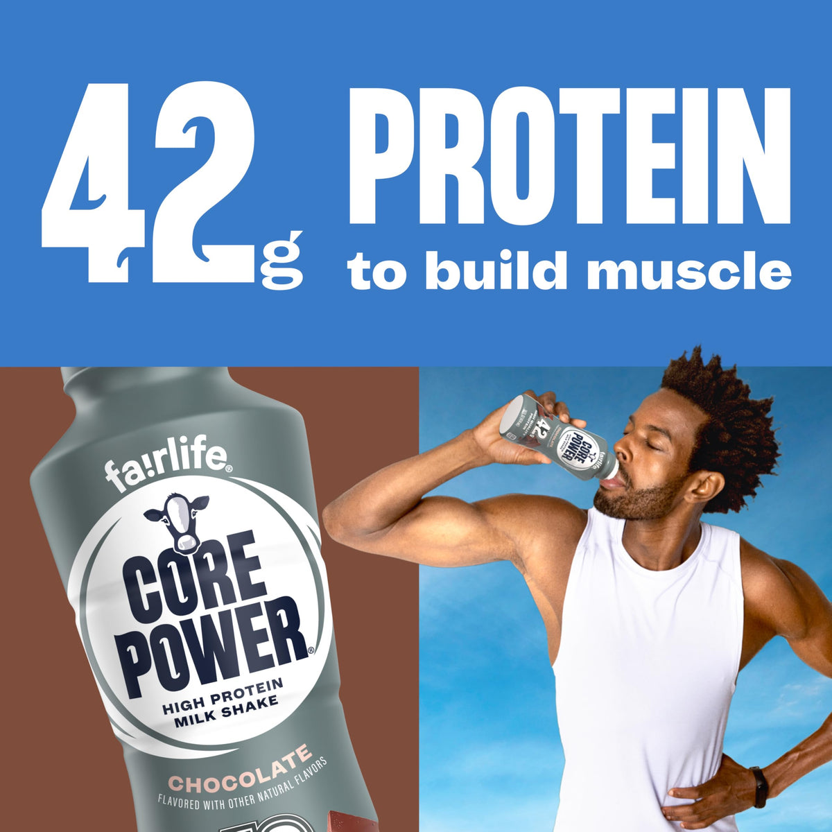 Chocolate High Protein Shake 42g 14oz 12 Pack D49019