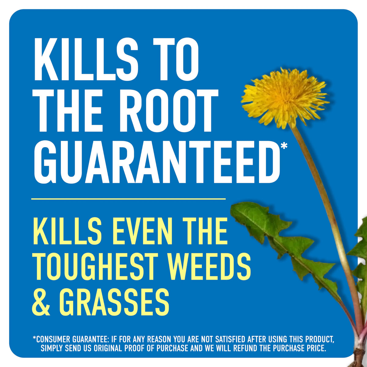Weed & Grass Killer with Sprayer V107250