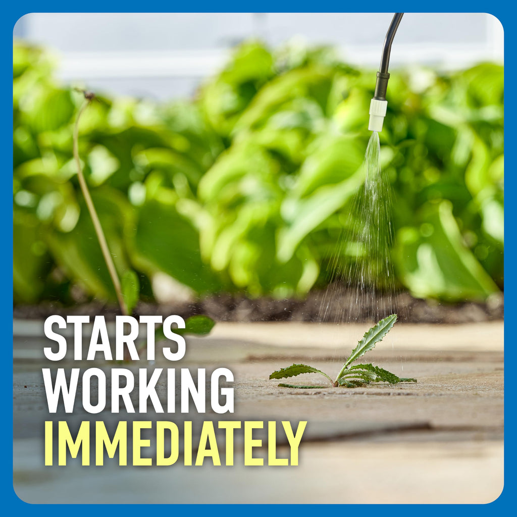 Weed & Grass Killer with Sprayer V107250