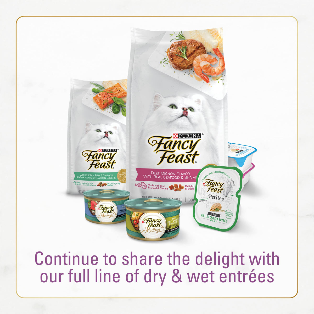 Dry Cat Food with Chicken and Turkey 7 lb Bag Pack of 2 N773094