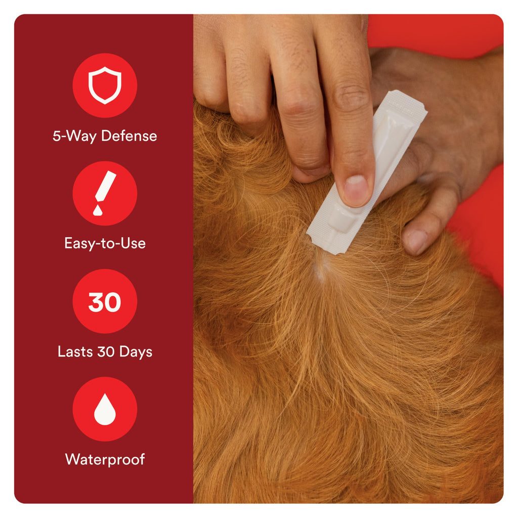Flea and Tick Prevention for Small Dogs 6 Doses D207