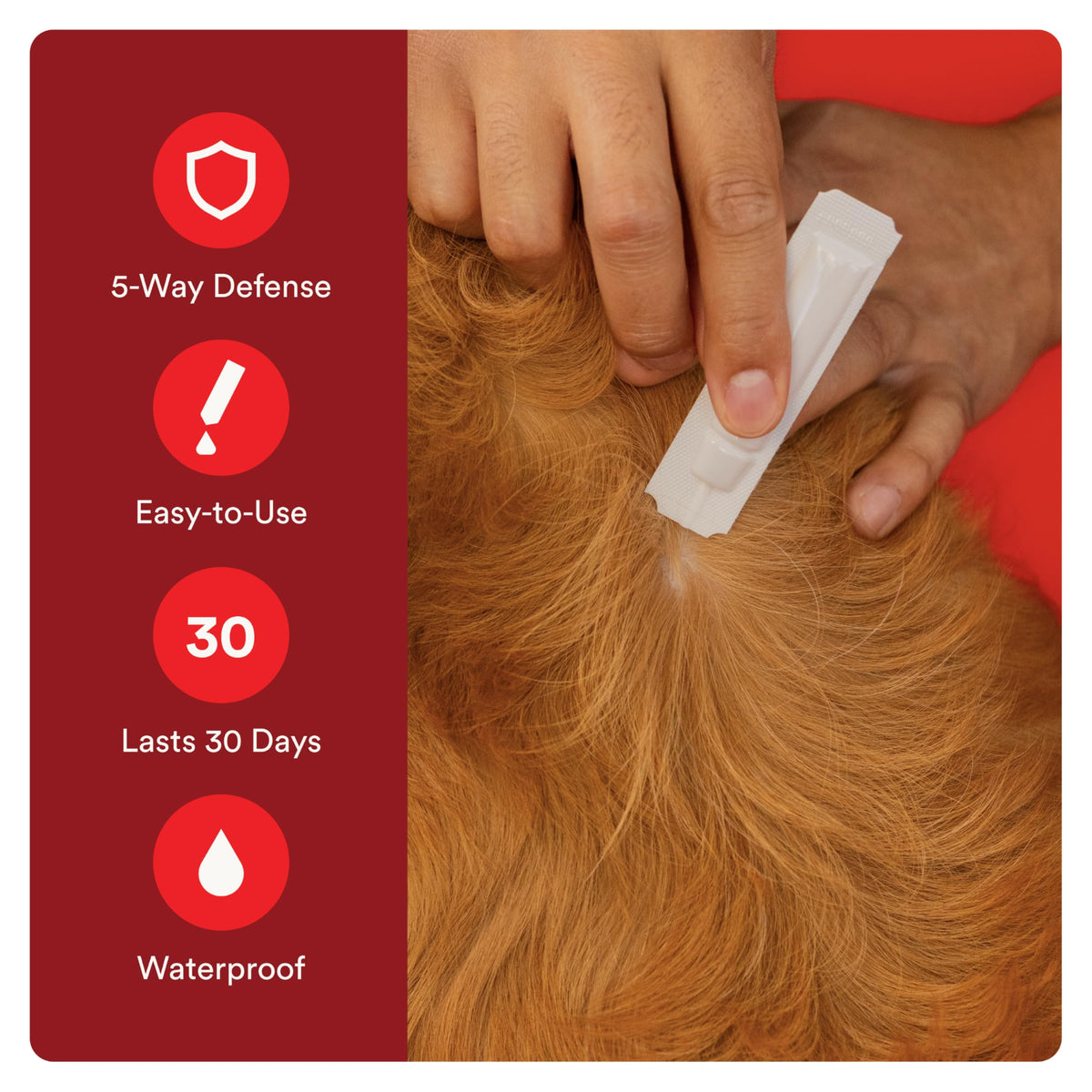 Flea and Tick Prevention for Small Dogs 6 Doses D207