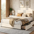 Queen Size Velvet Upholstered Storage Bed with 4 Drawers U859545