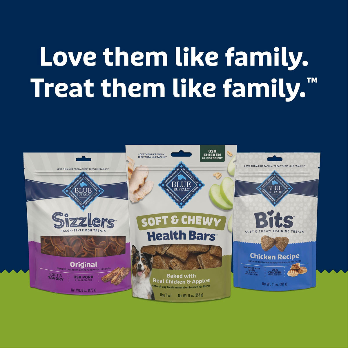 Chicken & Apples Soft & Chewy Treats, 9 oz X435