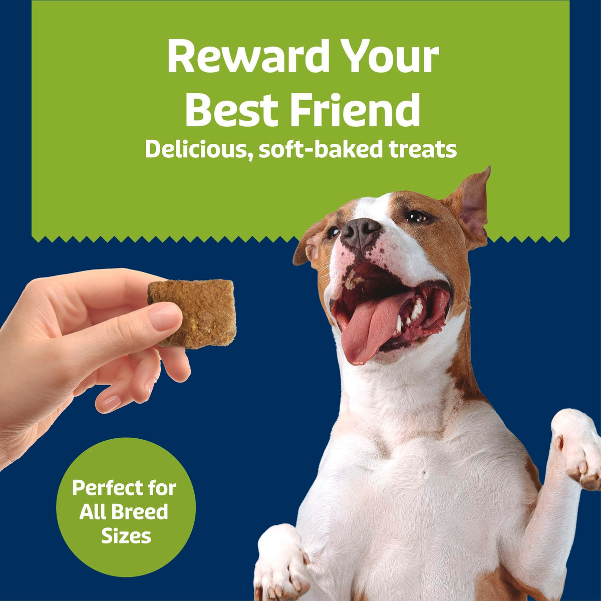 Chicken & Apples Soft & Chewy Treats, 9 oz X435