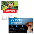 Flea and Tick Prevention for Small Dogs 6 Doses D207