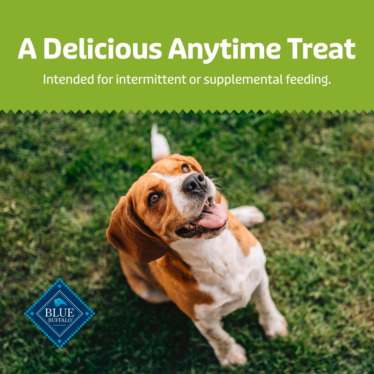 Chicken & Apples Soft & Chewy Treats, 9 oz X435