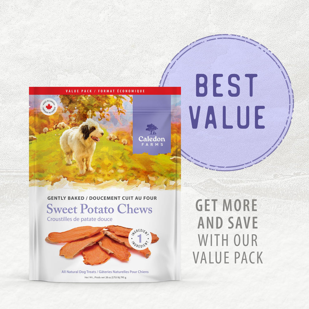 Sweet Potato Chews Dog Treats 28oz Q84137