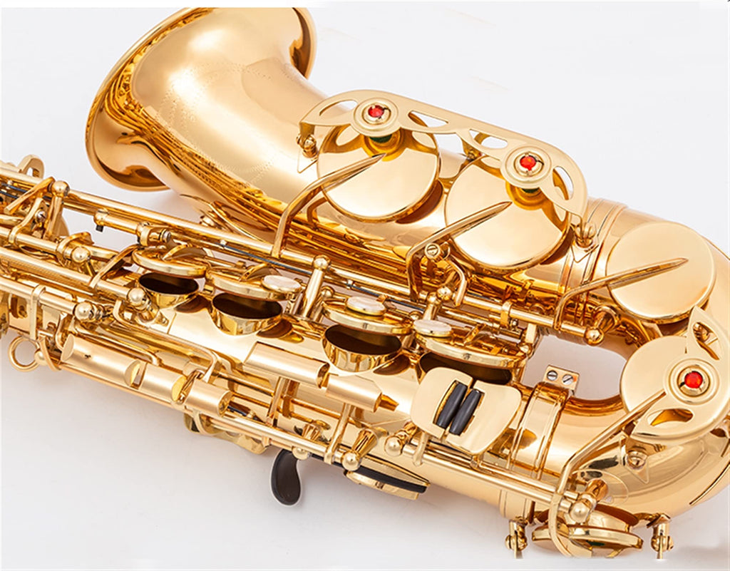 Alto Saxophone Set with Mouth Piece Reed Y569
