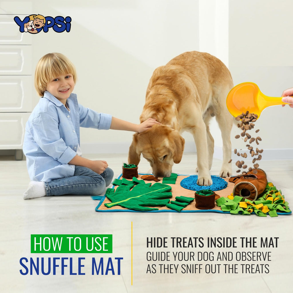Large Breed Snuffle Mat B746