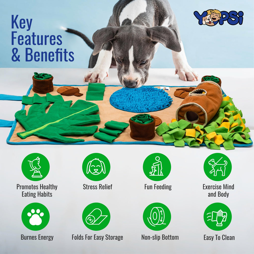 Large Breed Snuffle Mat B746