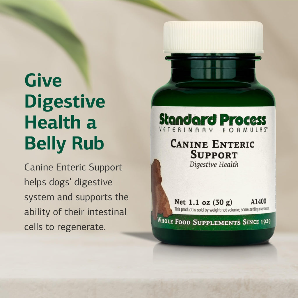 Canine Enteric Support 30 g P869002