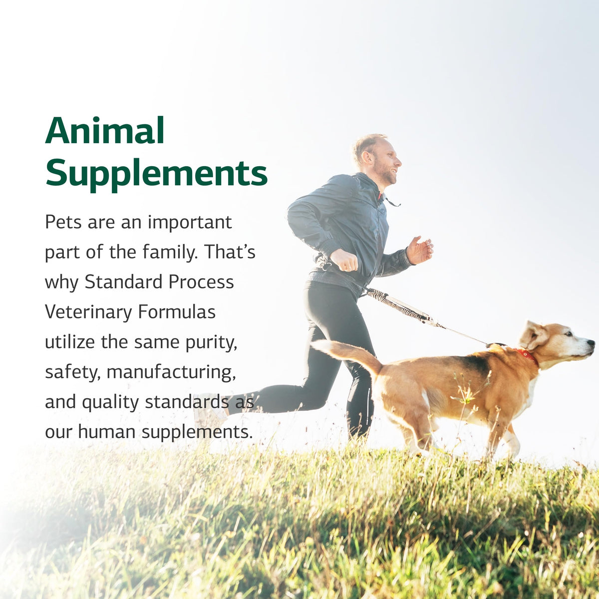 Canine Enteric Support 30 g P869002