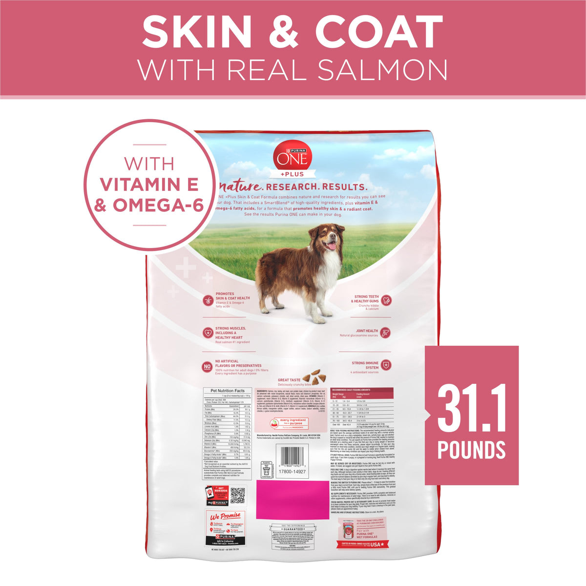 Sensitive Stomach Dry Dog Food 31.1 lb Bag L71289