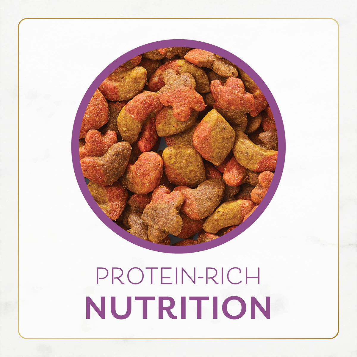 Dry Cat Food with Chicken and Turkey 7 lb Bag Pack of 2 N773094