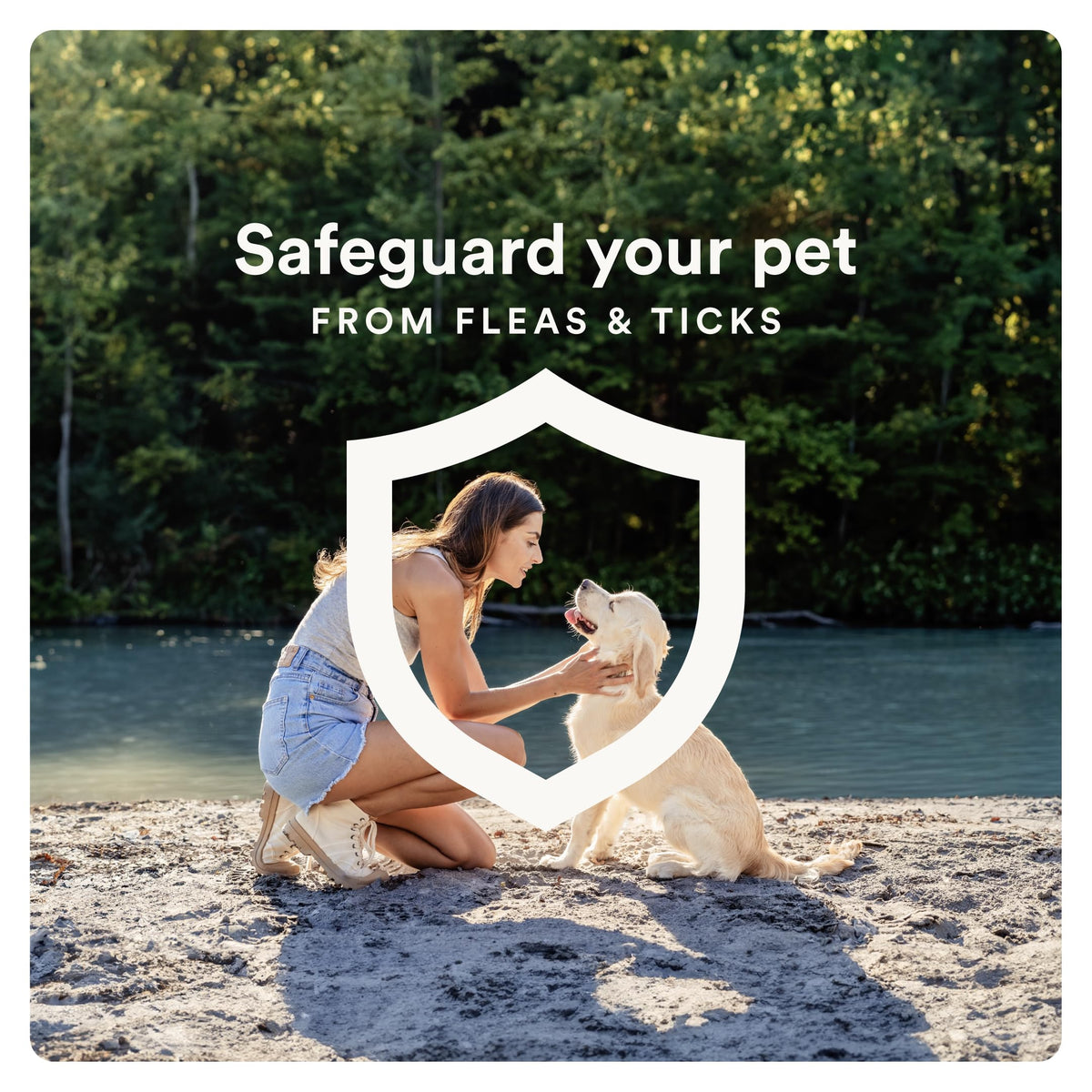 Flea and Tick Prevention for Small Dogs 6 Doses D207